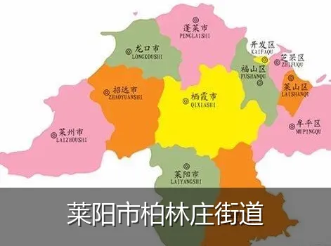 莱阳市柏林庄街道